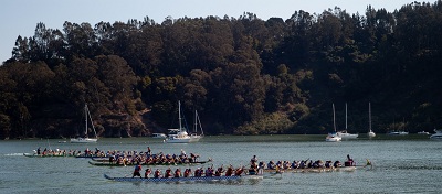 Dragon Boat Race Dragon Boat Race