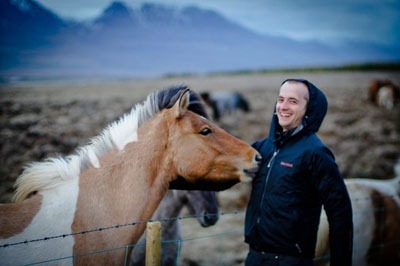 horsies